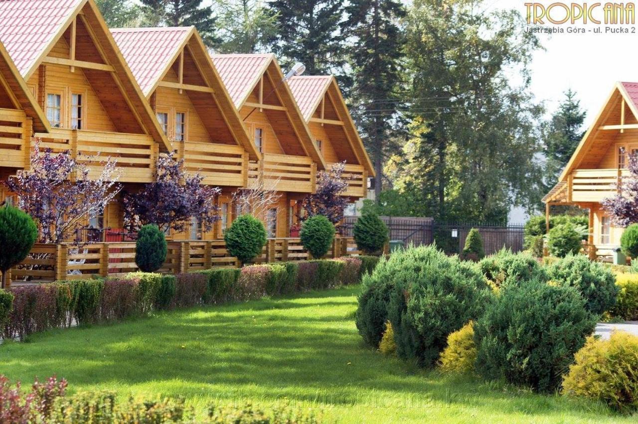 Tropicana Ϫϫ Jastrzębia Góra Exteriör bild