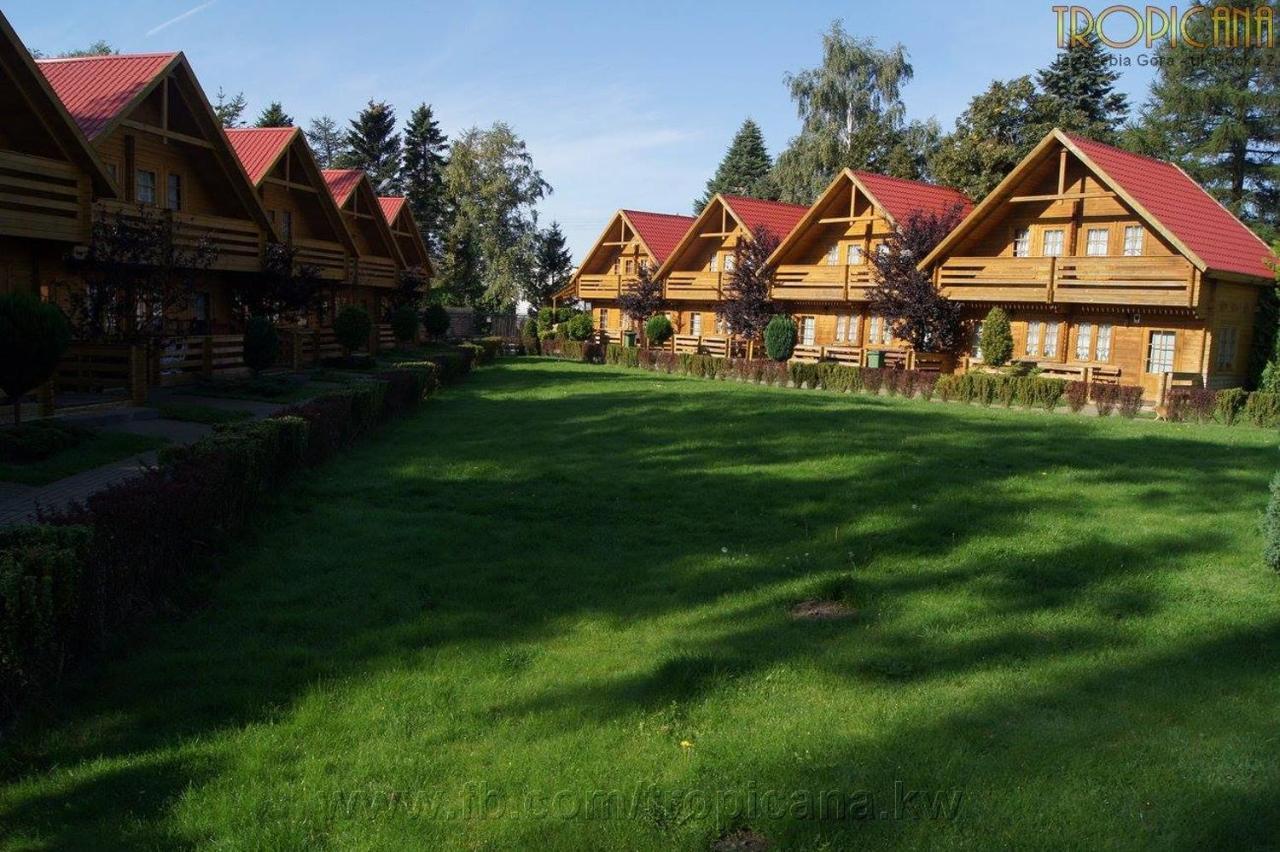 Tropicana Ϫϫ Jastrzębia Góra Exteriör bild